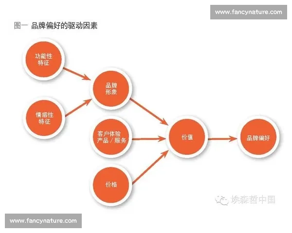 持续发酵驱动产业升级与品牌价值跃升新路径探索数字时代创新实践