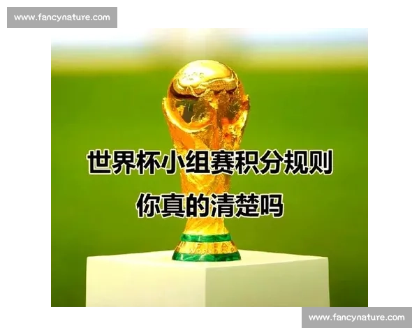 小组赛制下球队竞争策略与晋级规则全面解析