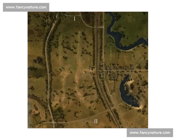 攻防转换中的战略博弈与战术运用：从主动出击到防守反击的思考与实践